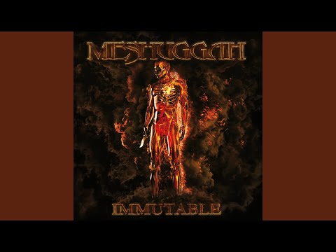 [TAPE] Meshuggah - Immutable