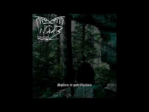 [TAPE] WŌDAZ - Spleen et Putréfaction [Limited]